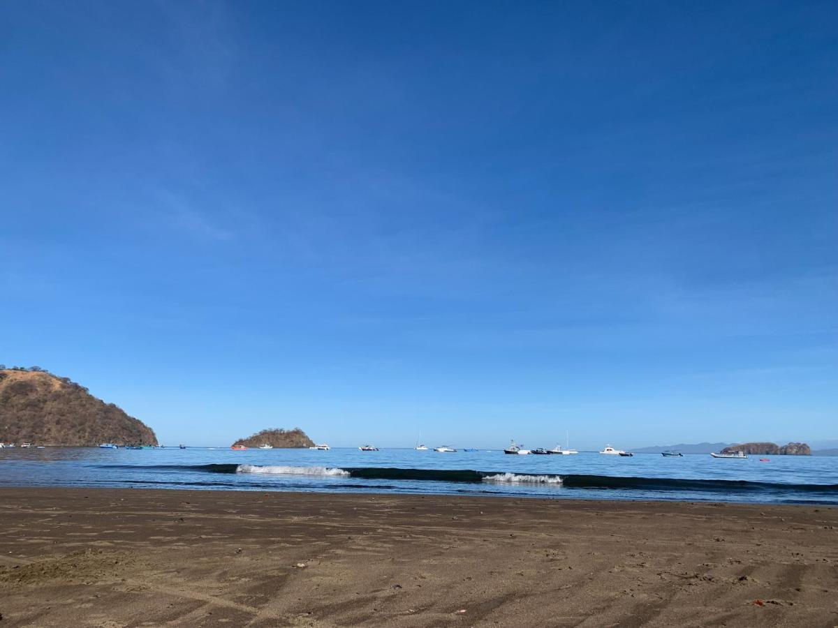 Toro Blanco 4*