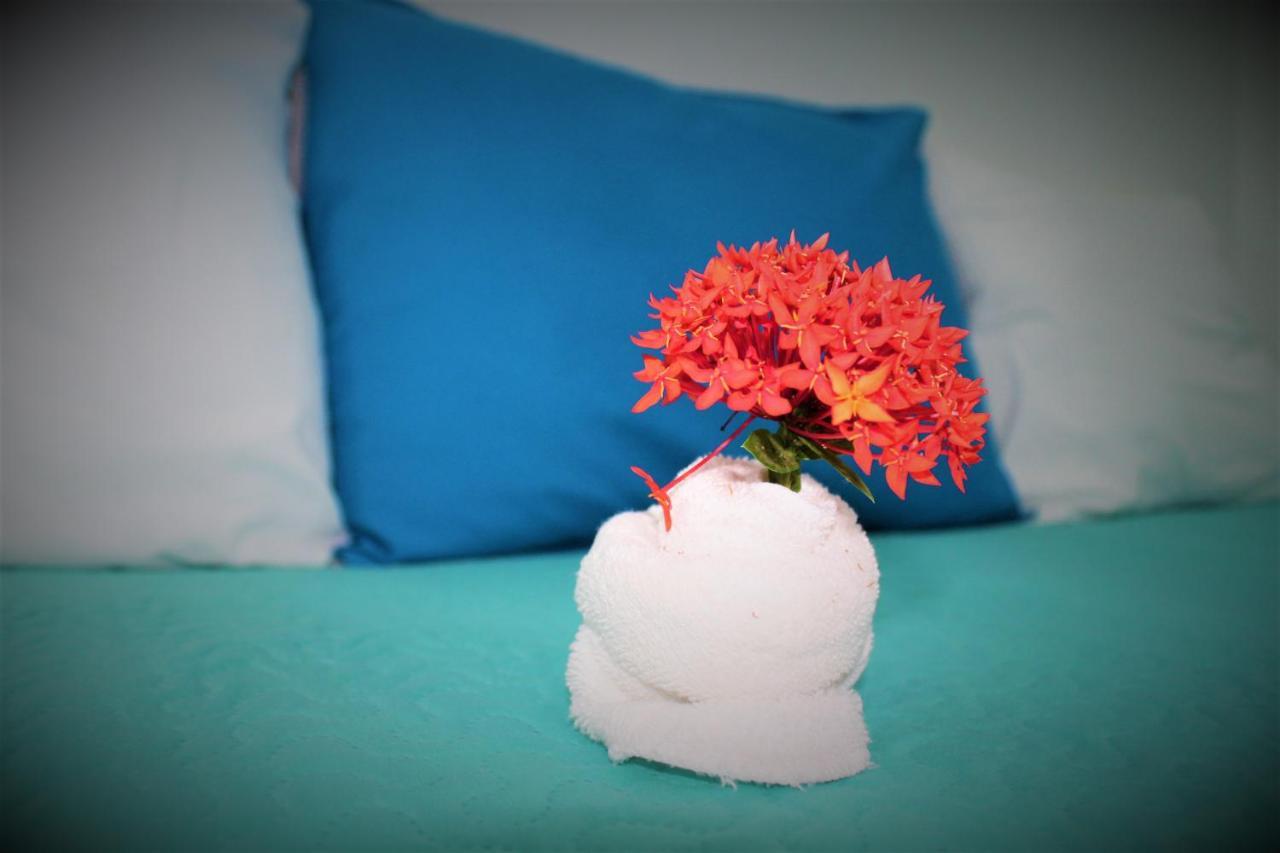 Appart hôtel Toro Blanco 4*